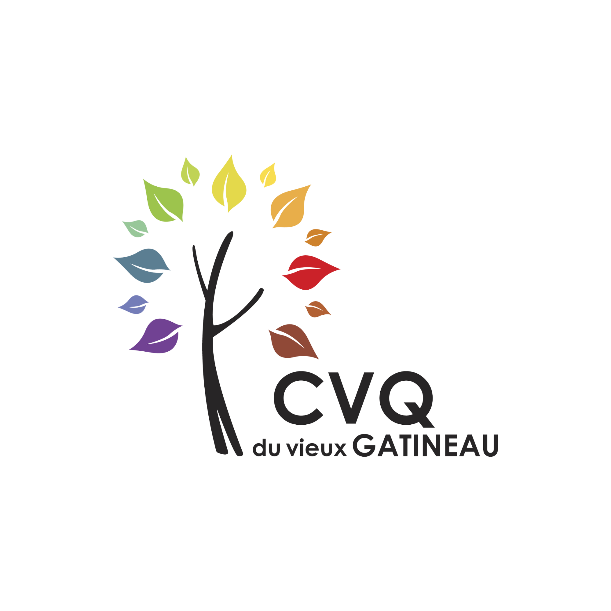 cvq